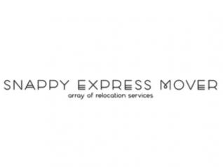 snappyexpressmover_cropped.jpg