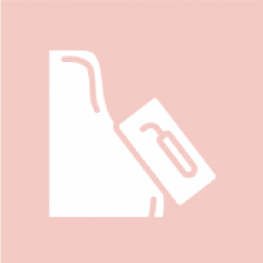 Wall Plasterer