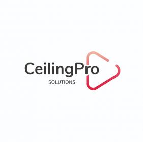 CeilingProSolutions_cropped_cropped.jpg