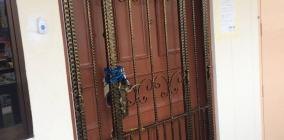 IronCraftGates01.jpg