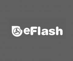 E-FlashLogo_cropped.jpg
