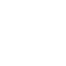 crown_icon